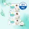 팸퍼스 2025 터치오브네이처 팬티형 기저귀 4 ~ 6단계 3팩 (1박스)